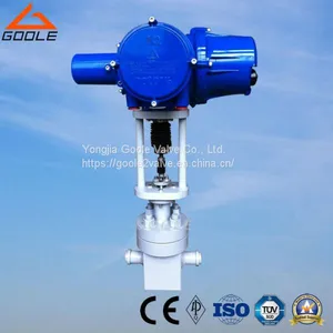 Electric Actuated Balanced Labyrinth Flow Control Valve (T968Y) thumbnail-1