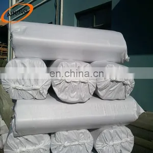 White Color Net Farm Agricultural Anti Insect Proof Netting thumbnail-4