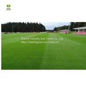 High Quality Manufacture Price Garden Flooring Anti UV and Durable Artificial Grass Mat for Garden 30mm thumbnail-1