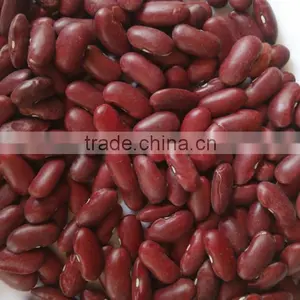 Red Kidney Beans thumbnail-2