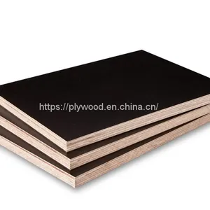 Trans Anti-slip Phenolic WBP Film Faced Plywood thumbnail-3