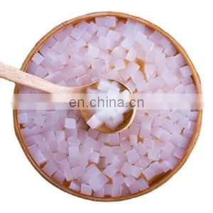 Raw Nata de Coco/ Coconut Jelly in Syrup for Pudding From Vietnam thumbnail-1