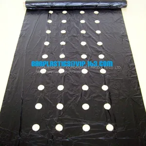 Agricultural Film, pe Film, Horticultural Mulch Film, Garden Perforated Ground Film,Mulching Films, Garden Film, pe Film thumbnail-1