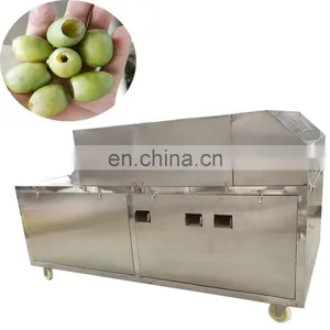Date Pitting Machinery for Olive Fruit Mini Olive Pit Pitting and Stuffing Machine 2 Years Warranty thumbnail-1