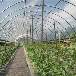 4MIL Agriculture Plastic Greenhouse PE PO Film Clear Greenhouse Cover thumbnail-1