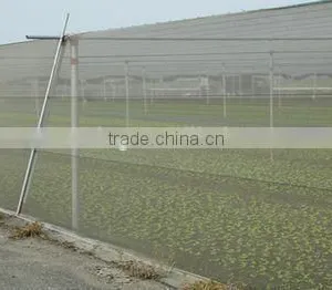 HDPE 100% Virgin Raw Material Anti Insect Net/Greenhouse Insect Proof Nets thumbnail-4