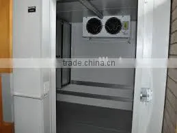 0.75-3hp Freezing Room With Monoblock Unit thumbnail-1