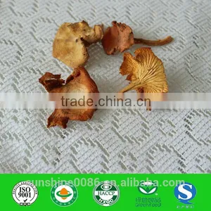 Wild Mushrooms Organic Chanterelle Mushrooms thumbnail-1