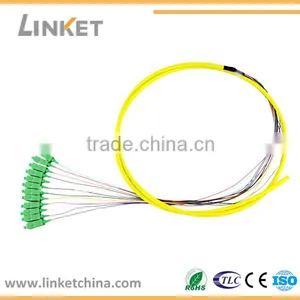 OM2 12-core Fiber Optic Pigtail thumbnail-1