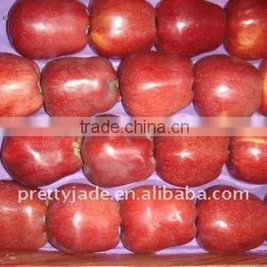 Fresh Huaniu Apple for Sell thumbnail-1