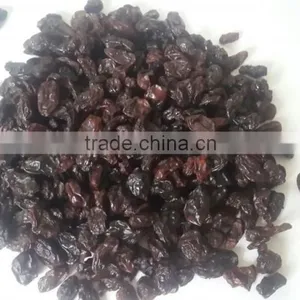 Dark Green Raisin thumbnail-1