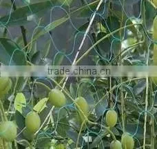 Fruit Tree Net thumbnail-1