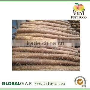 100% Natural and Organic Wild Yam thumbnail-1