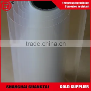 Hot Sale High Transparent 19 Micron Pet Film for Armyworm Board thumbnail-6