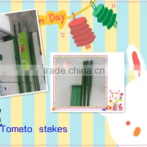 Pe Coated Steel Stake for Tomato thumbnail-1