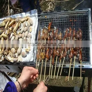 Barbecue Wire Mesh(Bright Color, Good Structure, Export Standard ) thumbnail-1