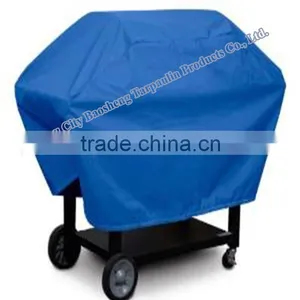 Birthday Family Party BBQ Cover thumbnail-1