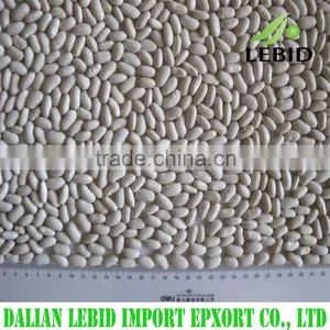 Wholesale 2016 New Crop White Kidney Beans for Pre-sale thumbnail-1