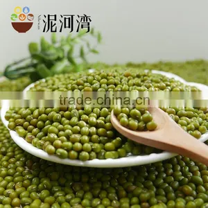 Green Mung Bean thumbnail-3