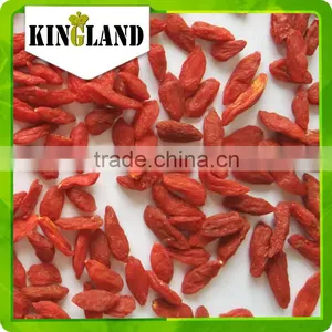 2015 Fresh Frozen Goji Berries thumbnail-3