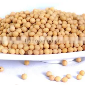 Low Price Soybean With High Nutritional Value From China thumbnail-2