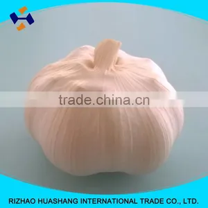 Good Quality Pure White Fresh Garlic Size5.5cm thumbnail-5