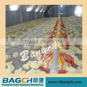 Shandong Controlled Poultry Feeders and Drinkers for Broiler House thumbnail-1
