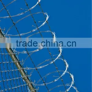 (high Quality)Galvinized Razor Barbed Wire(factory) thumbnail-4
