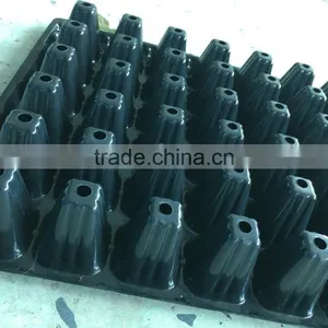#014 Black Plastic Seedling Trays/High Quality Black Plastic Seedling Trays thumbnail-5