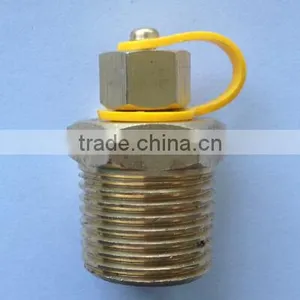 1/2" Brass Pressure / Temperature P/t Testing Plug thumbnail-1