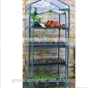Garden Greenhouse thumbnail-3