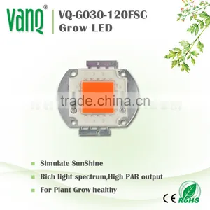 2017 20w Full Spectrum Wavelength 380 840nm Cob Led Grow Bead for Diy Indoor Plant Flower and Veg Growing thumbnail-1