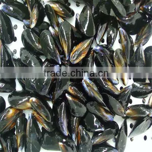 Frozen Green Mussel thumbnail-1