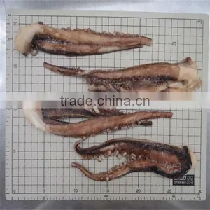 Cooked and Frozen Seafood With Peru Giant Squid Meal thumbnail-1