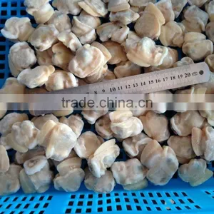 Frozen Boiled Baby Clam Meat thumbnail-4