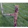 Grassland Netting thumbnail-1