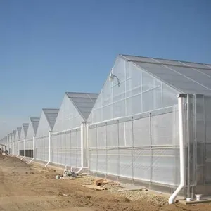 Gable Greenhouse 7500 Series From House Garden to Super Large Size thumbnail-2