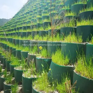Geocell for Road Base and Slope Protection Erosion Control thumbnail-5