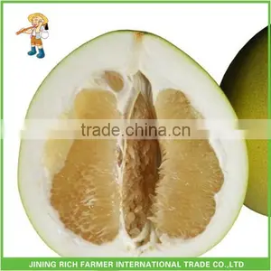 Honey Pomelo thumbnail-1