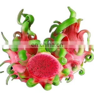 Dragon Fruit in Vietnam is Rich in Nutrients at the Best Price thumbnail-1