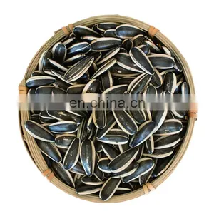 Argentina Sunflower High Oil Seeds thumbnail-1