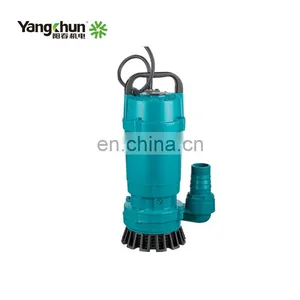 High Efficiency 0.75KW 220V Submersible Water Pump For Cleaning Water thumbnail-3