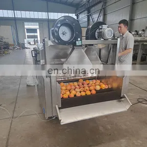Small Scale Fruit Apple Pear Waxing Machine thumbnail-4