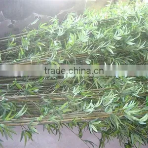 2014 Hot Salel Artificial Plant Factory Price Fake Bamboo Wholesale thumbnail-1