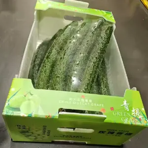 Custom Foldable Plastic Corrugated Boxes – Eco-Friendly Transport Packaging for Farm Products thumbnail-3