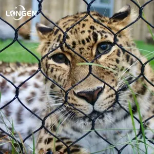 Free Provision of Stainless Steel Zoo Mesh Samples thumbnail-1