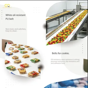 Jiangsu New Lianda Belting Technology Co.,ltd. company overview - view 1 thumbnail