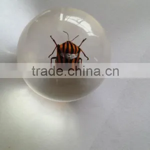 Professional Wholesale Inflatable Clear Plastic Ball With Human Ember Embedded for Christmas Gifts thumbnail-6