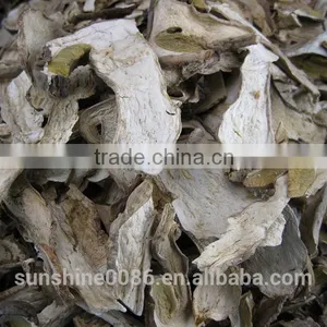 Market Prices for Mushroom thumbnail-3