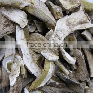 Top Quality of Dried Porcini Mushroom thumbnail-2